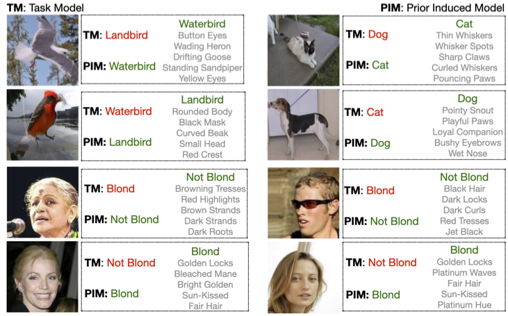 DECIDER explanations for model failures